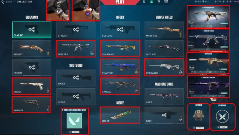 🇹🇷 (TUR) حساب فل ستاك 🎒